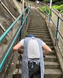 1年間の努力で魂の1票を