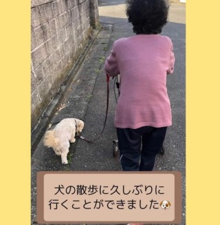 愛犬と散歩