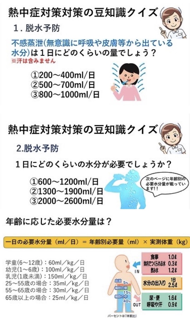 豆知識クイズ