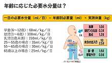豆知識クイズ