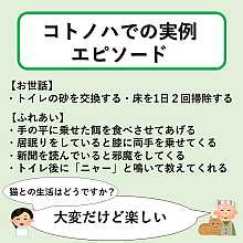 ペットと一緒に暮らすシニアライフ