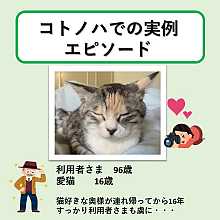 ペットと一緒に暮らすシニアライフ