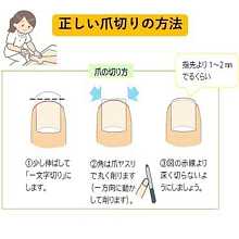 正しい爪の切り方